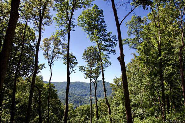 LOT 13 Rambling Ridge Road - Photo 1