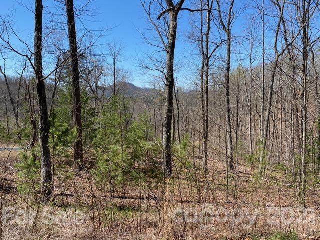 Lot 302 Mountain Brook Trail - Photo 1
