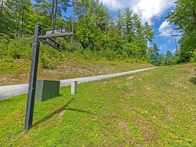 Lot 47 Sweetleaf Lane - Photo 1