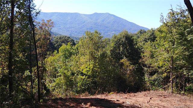 0 Plott Valley Road - Photo 1