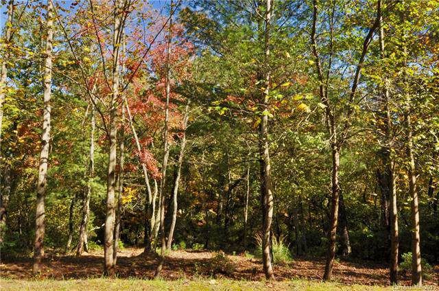 126 Powder Creek Trail - Photo 1