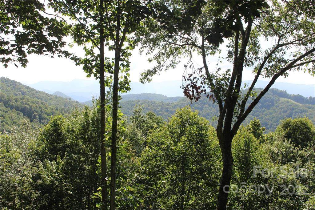64 High Line Road - Photo 1