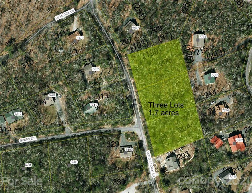 V/L Turtle Rock Road - Photo 1
