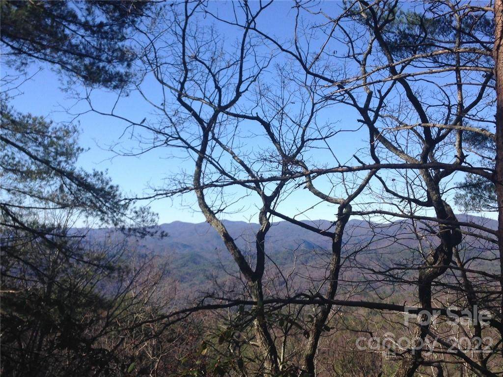 Tract 3 Bear Pen Hollow Road - Photo 1