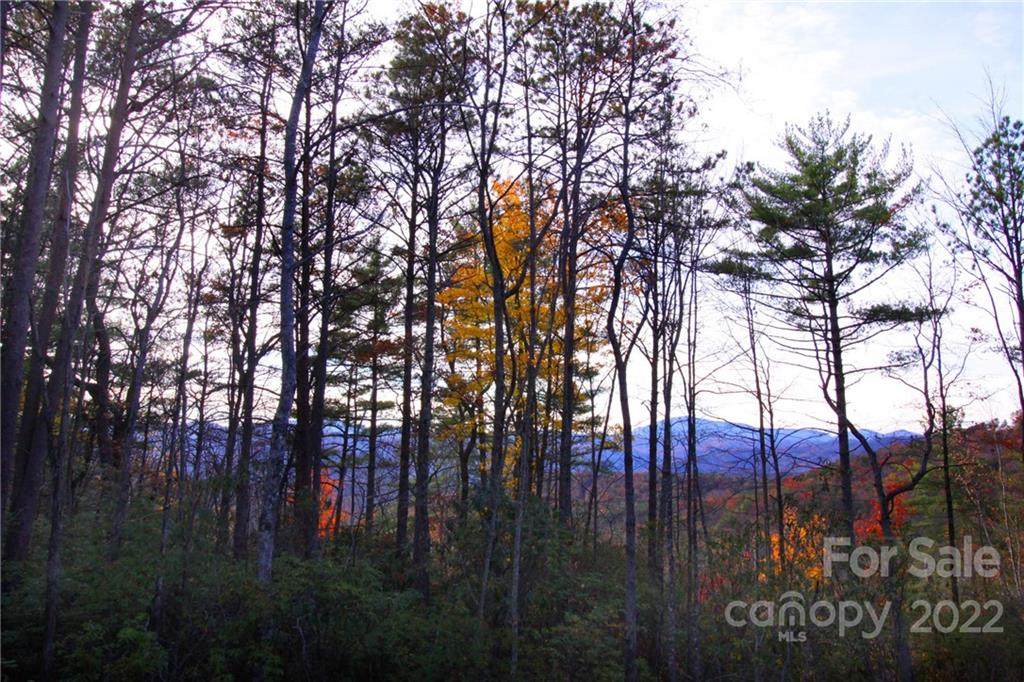 Tract 2 Bear Pen Hollow Road - Photo 1