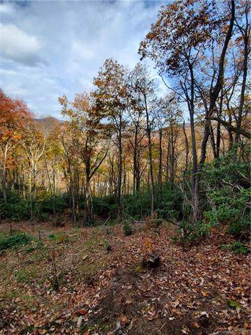 tbd Chapman Road - Photo 1
