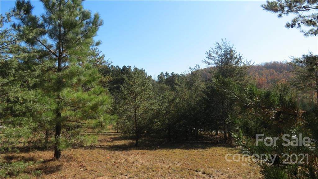 Lot 15-IV Double Eagle Drive - Photo 1