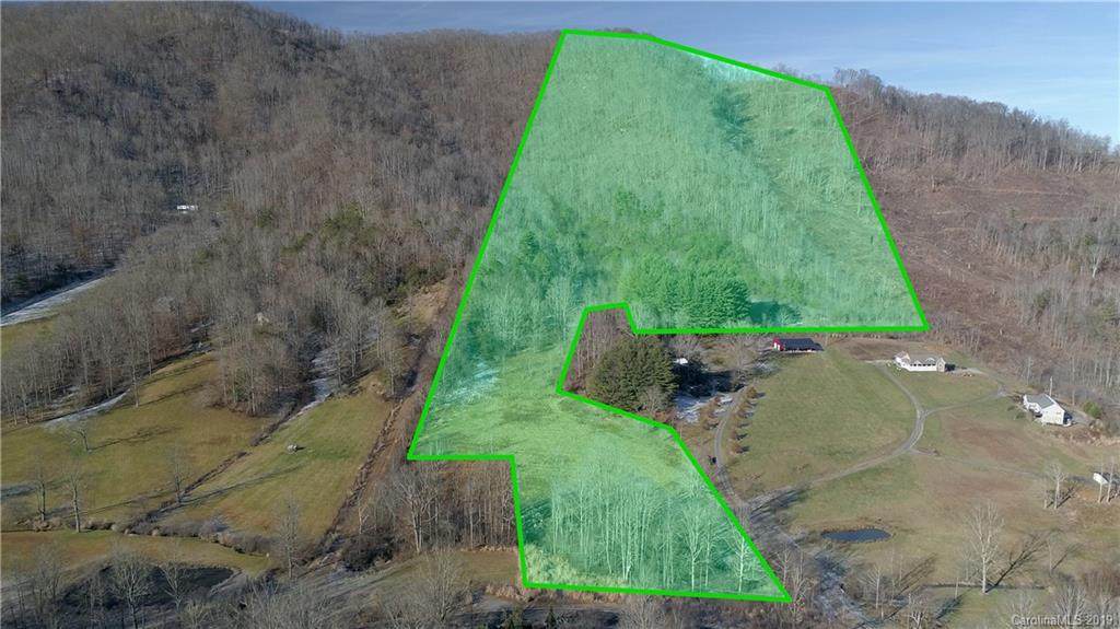 99999 Paint Fork Road - Photo 1