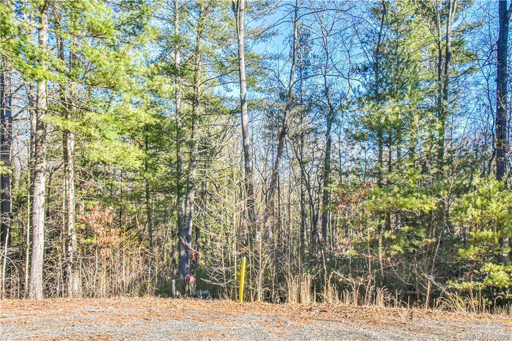 29 Buffalo Creek Drive - Photo 1