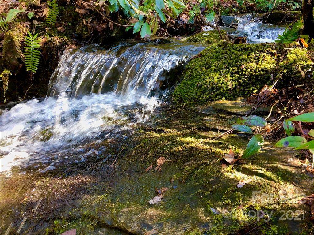 Lot 12 Silver Maple Trail - Photo 1