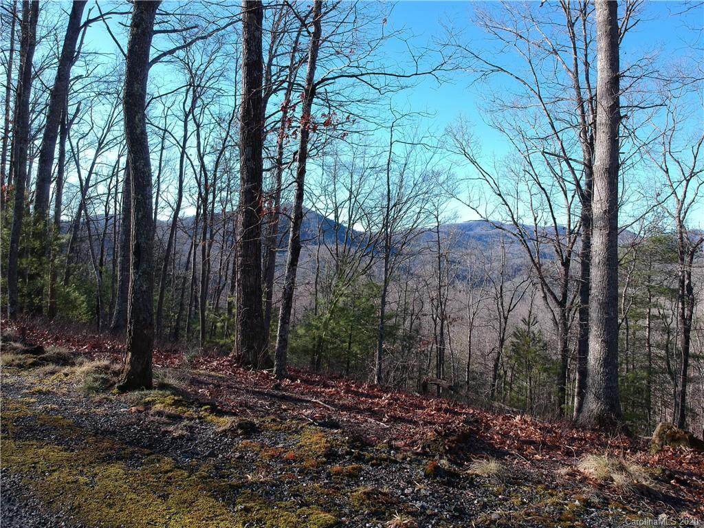 0 Raccoon Run - Photo 1