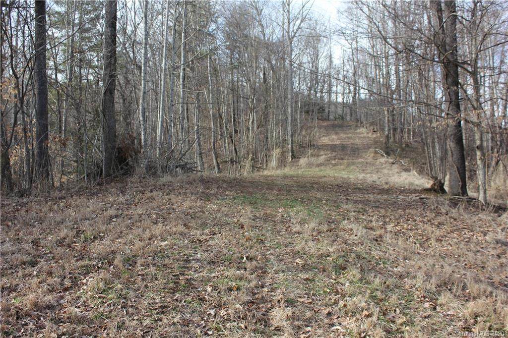 1147 Bee Tree Road - Photo 1