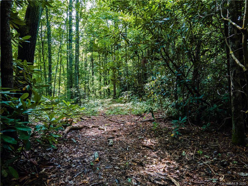 0000 Shadow Ridge Drive - Photo 1