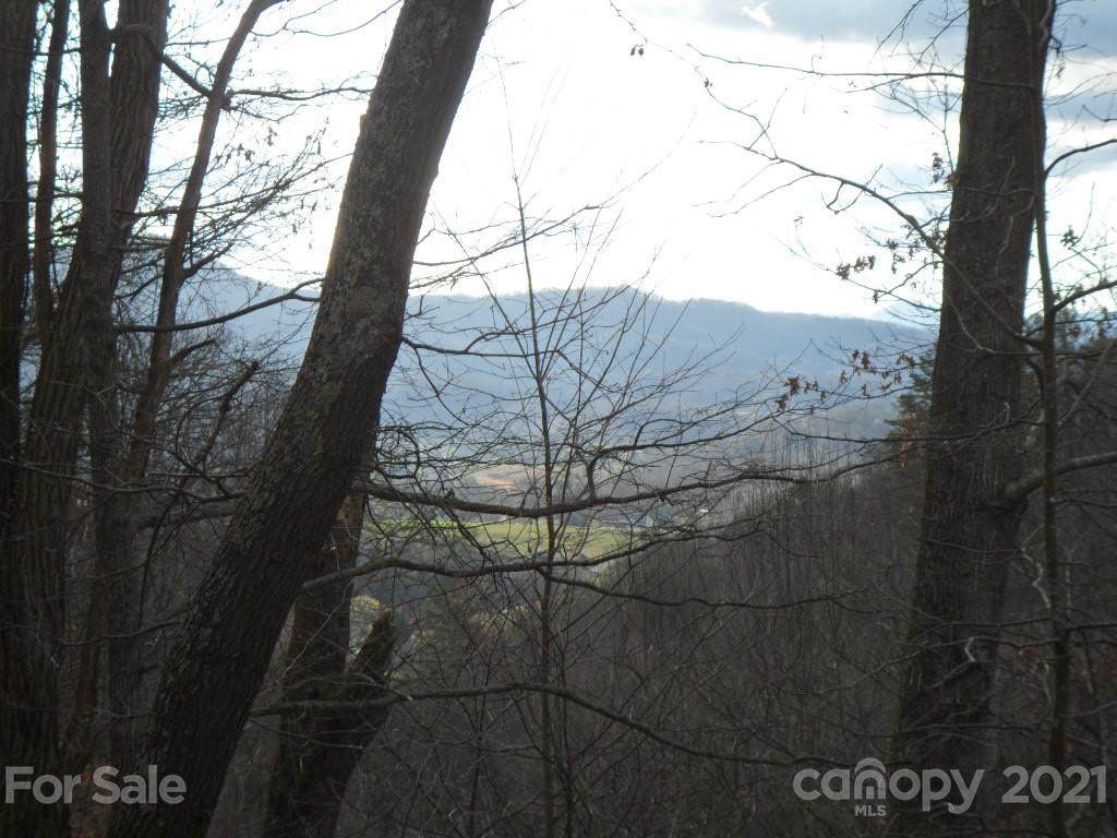Lot 12 Coyote Hollow Road - Photo 1