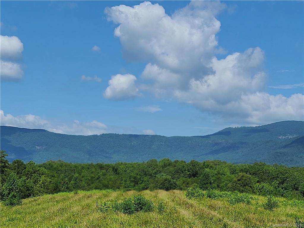 24.17 acres Walnut Falls Lane - Photo 1