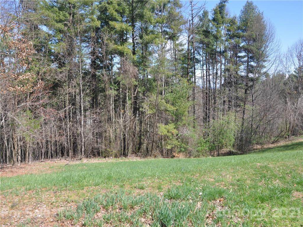 LOT 17 Thornapple Drive - Photo 1