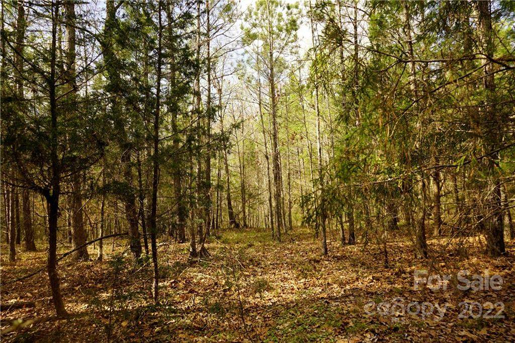 5 Ac Ashford Street - Photo 1