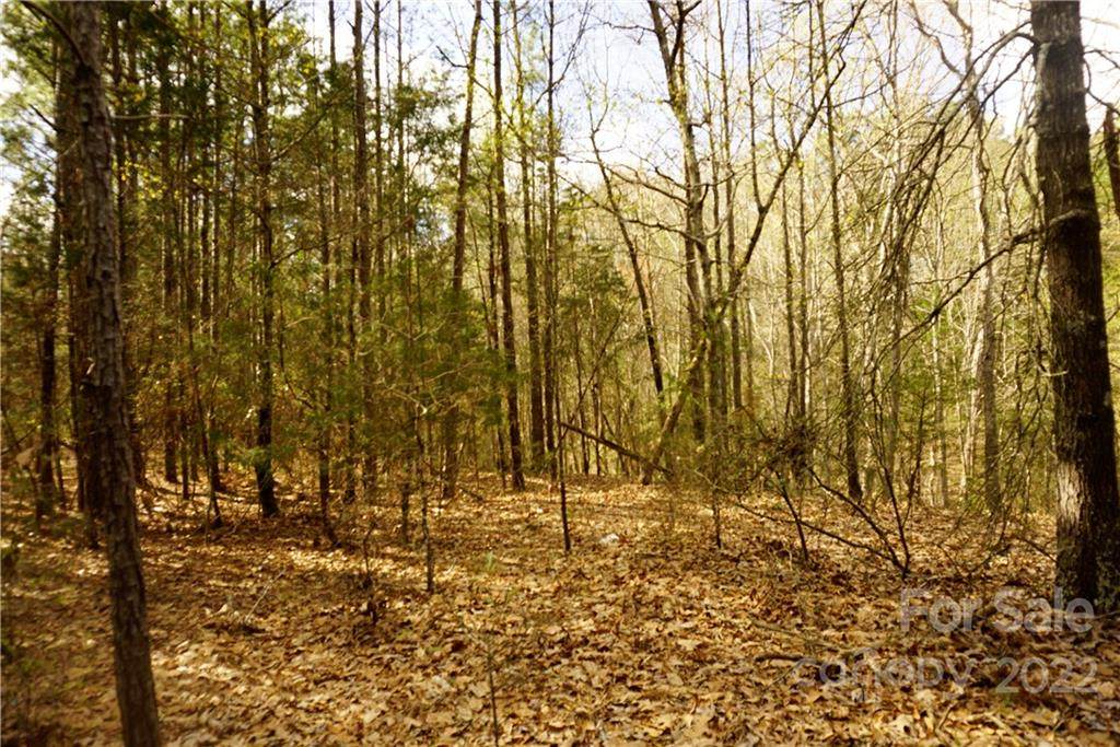 8 Ac Hilltop Drive - Photo 1