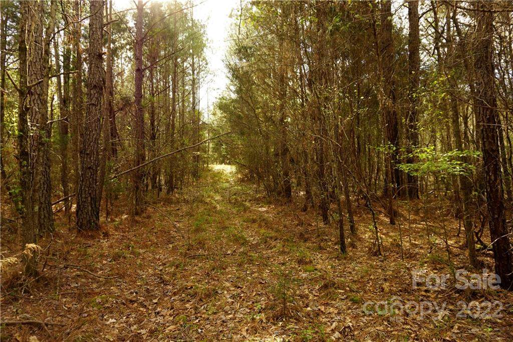 5 Ac Hilltop Drive - Photo 1