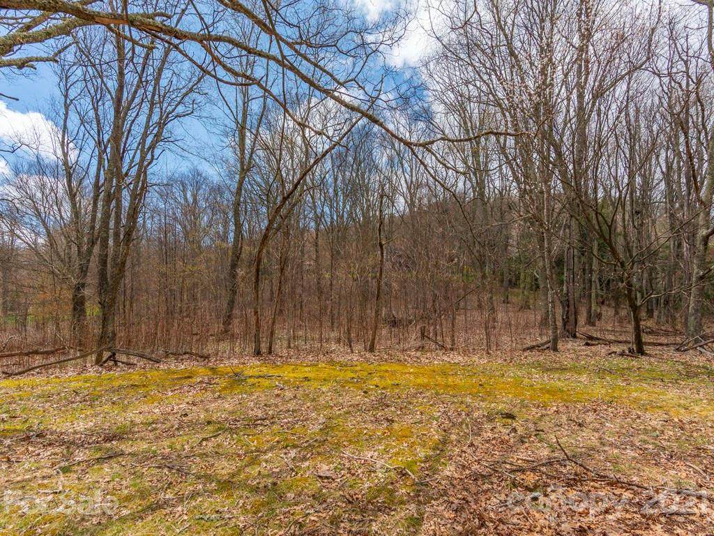 Lots 5 & 7 Eagle View Circle - Photo 1