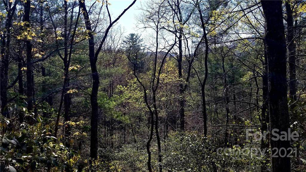 0 Deer Ridge Trail - Photo 1