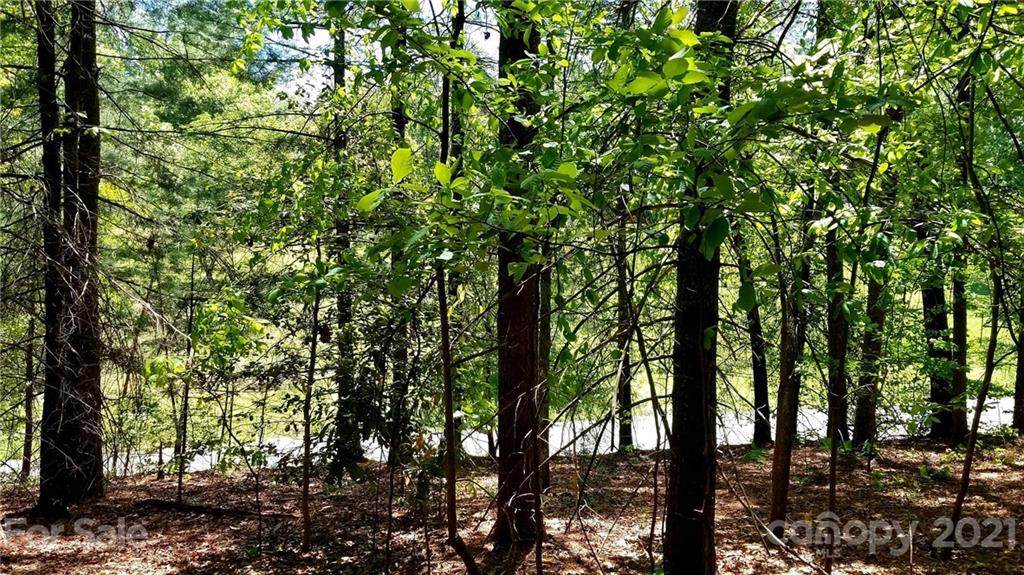2.31 acres on Carter Street - Photo 1