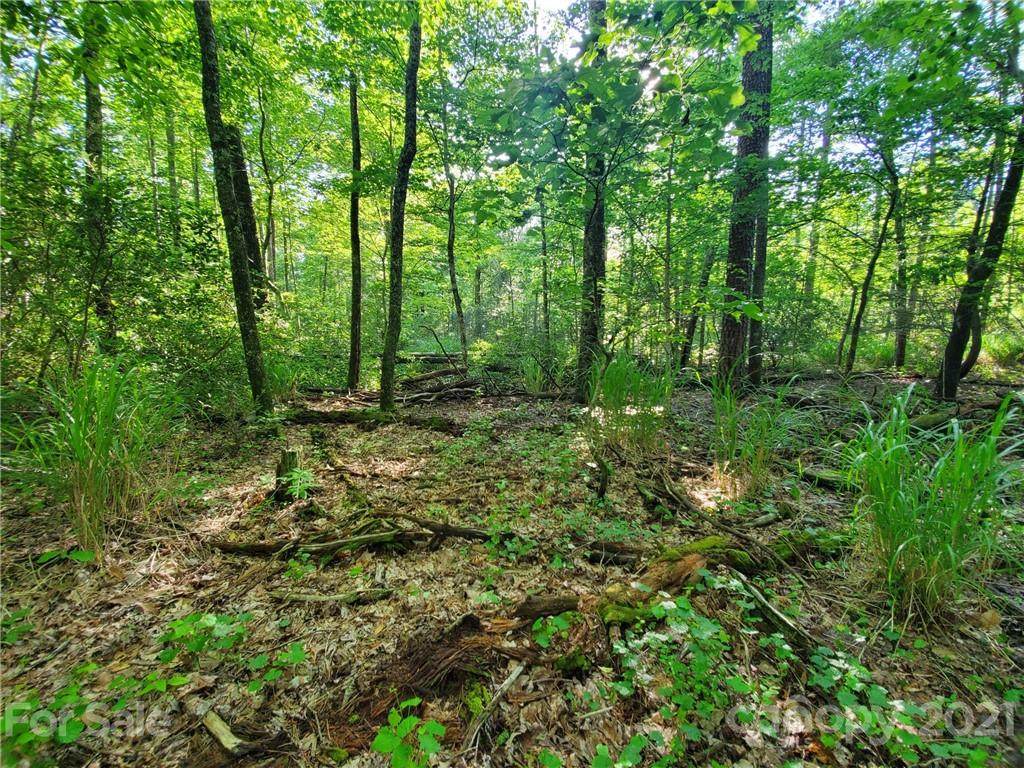 0 Bald Hill Court - Photo 1