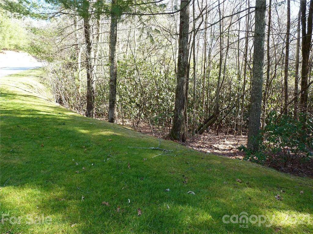 149 Chattooga Run - Photo 1