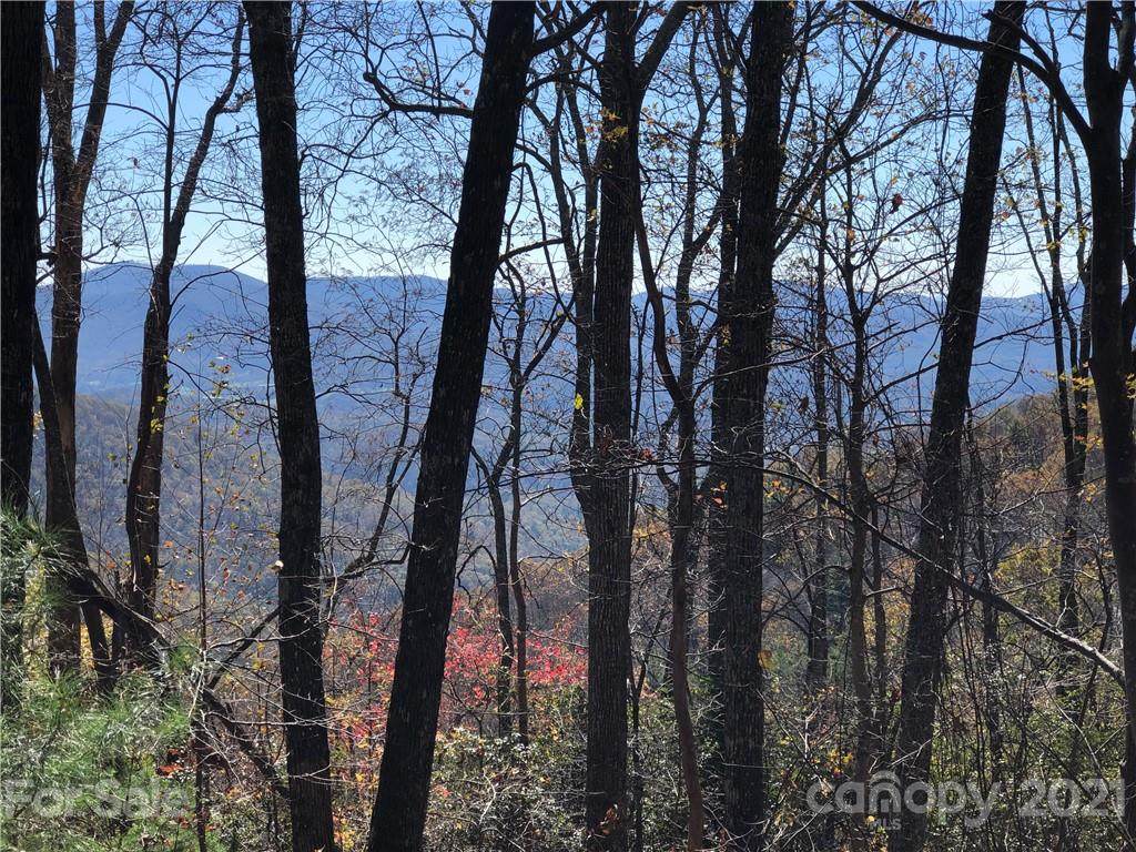 17 acres Chestnut Forest Road - Photo 1