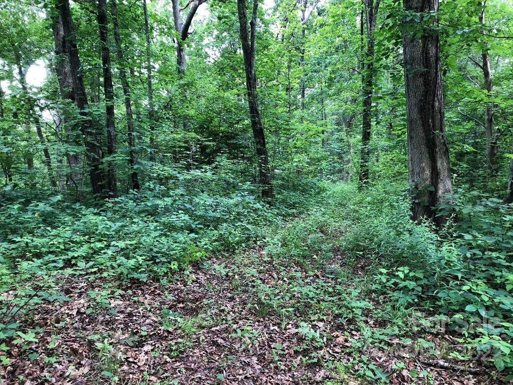00 Long Branch Road - Photo 1