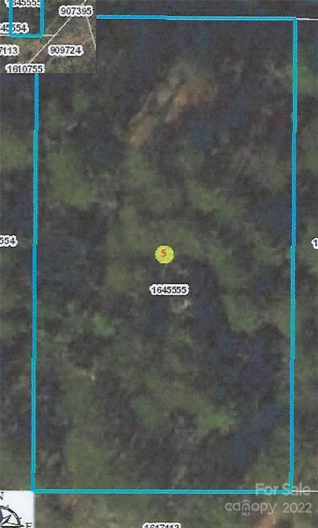 Lot 23 Boxwood Lane - Photo 1