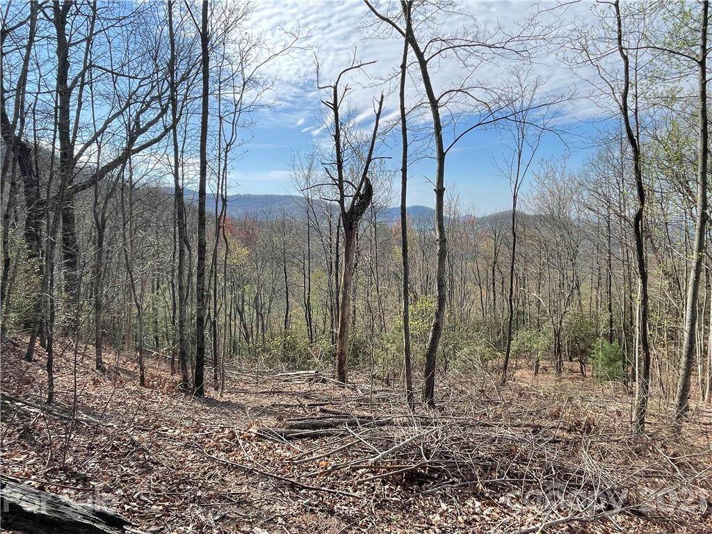 999 Laurel Knob Road - Photo 1