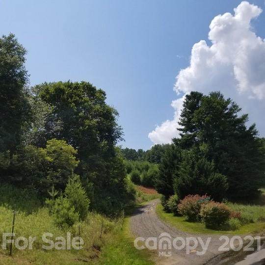 TBD-5 Hawk Ridge Road - Photo 1