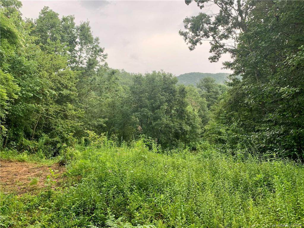 TBD Sweetwater Ridge - Photo 1