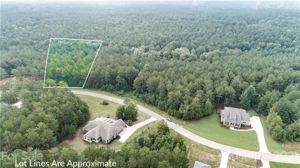 6113 Chimney Bluff Road - Photo 1