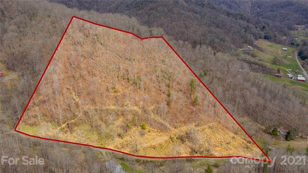 226 Dan Branch Road - Photo 1
