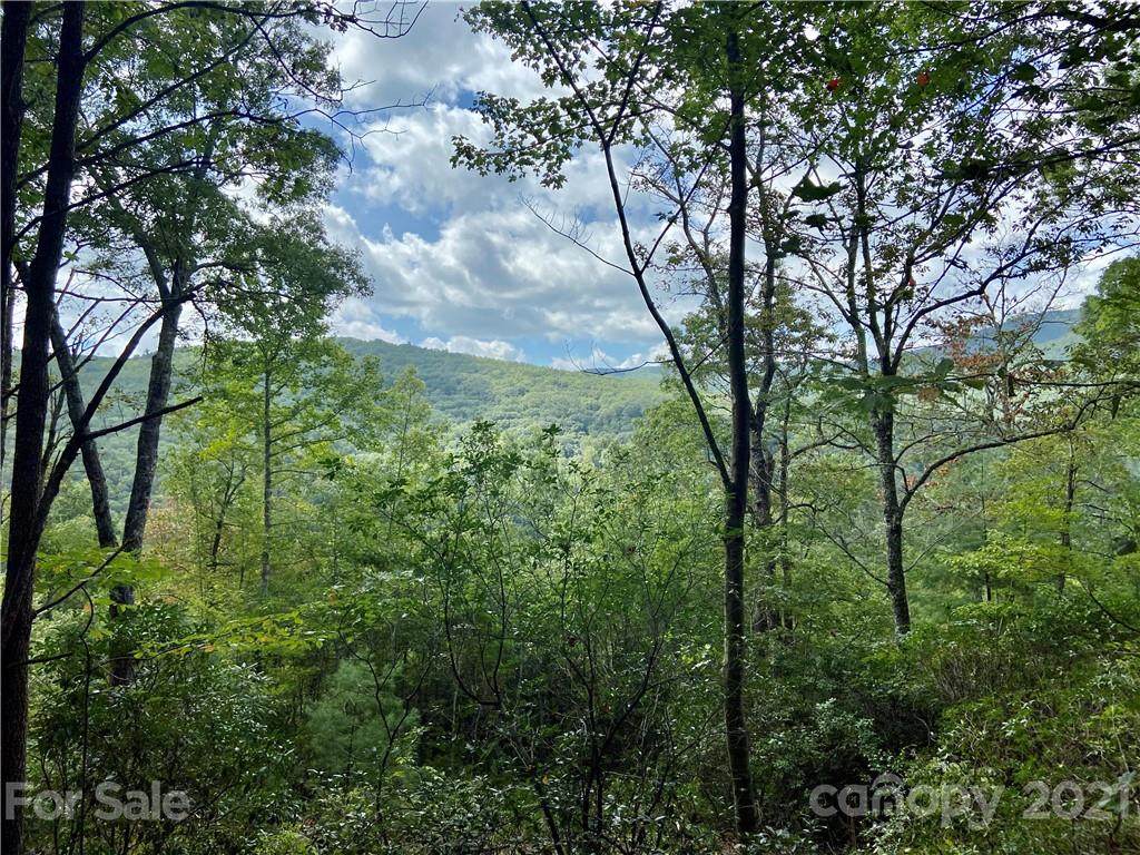 TBD Honey Mountain Road - Photo 1