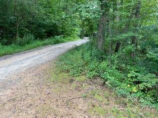 99999999 Willow Bend - Photo 1