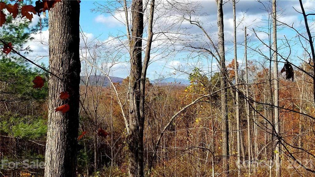 7.95 acres on Horizon Drive - Photo 1