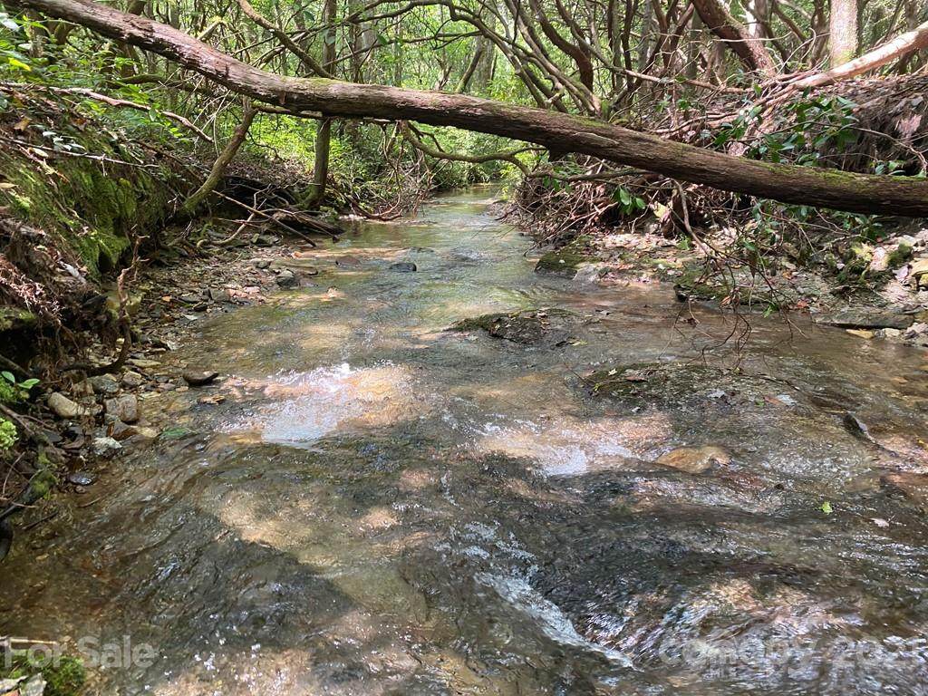 TBD Old Spring Road - Photo 1