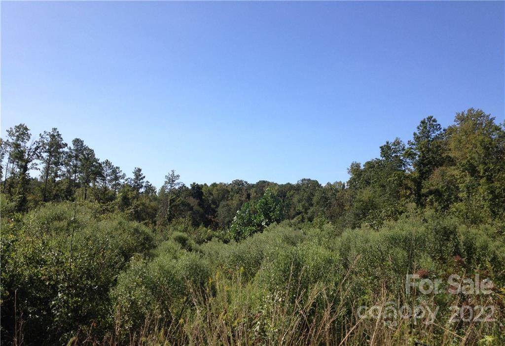00 Logging Road - Photo 1