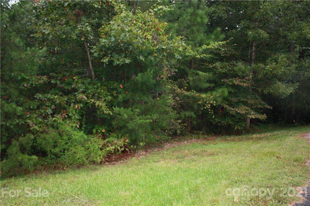 001 Miners Creek Drive - Photo 1