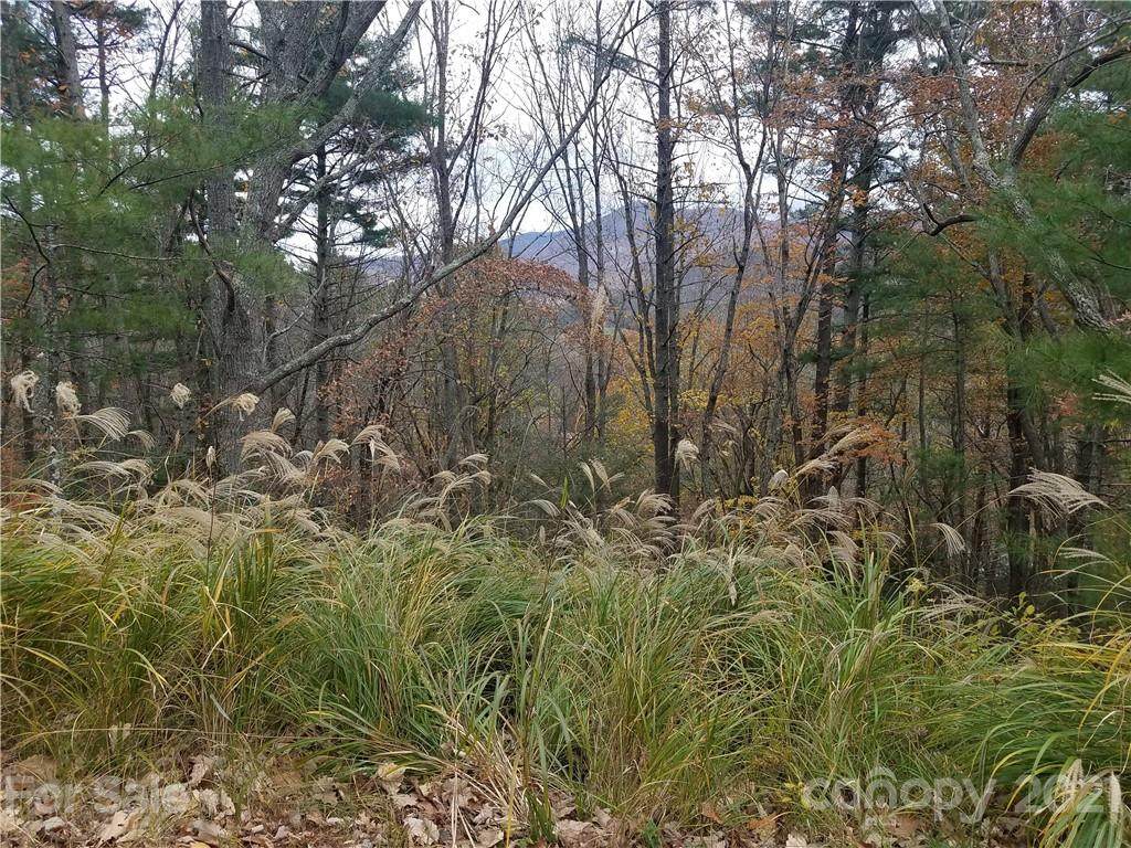 99999 Laurel Ridge Road - Photo 1