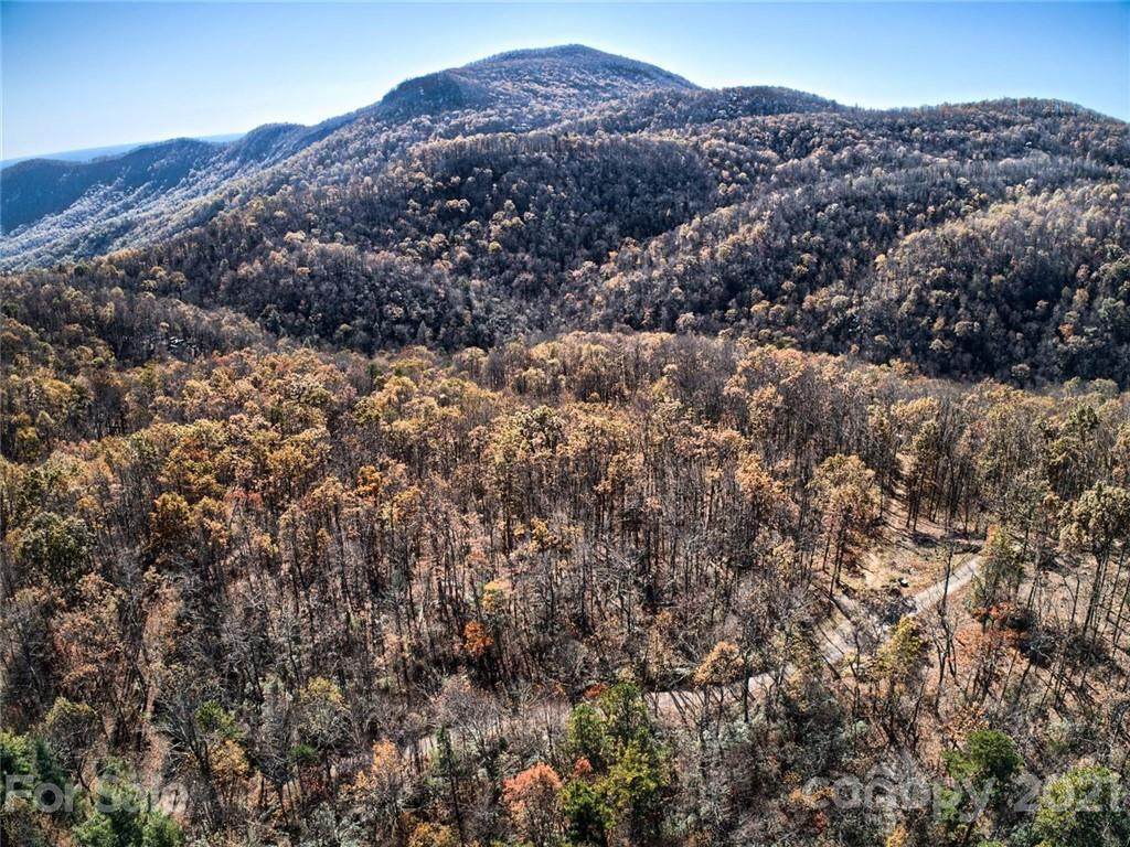 0 Deer Lick Lane - Photo 1