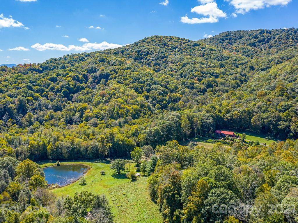 4534 Poplar Creek Road - Photo 1