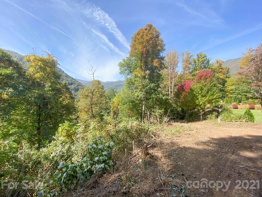 188 Antler Springs Way - Photo 1
