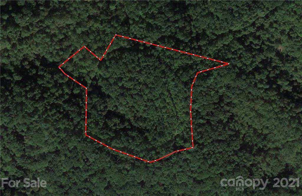000 Stone Mountain Road - Photo 1