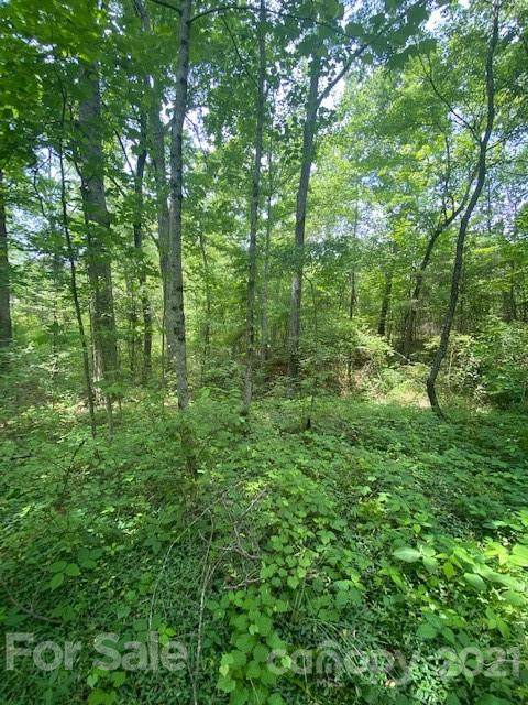 2159 Picnic Drive - Photo 1