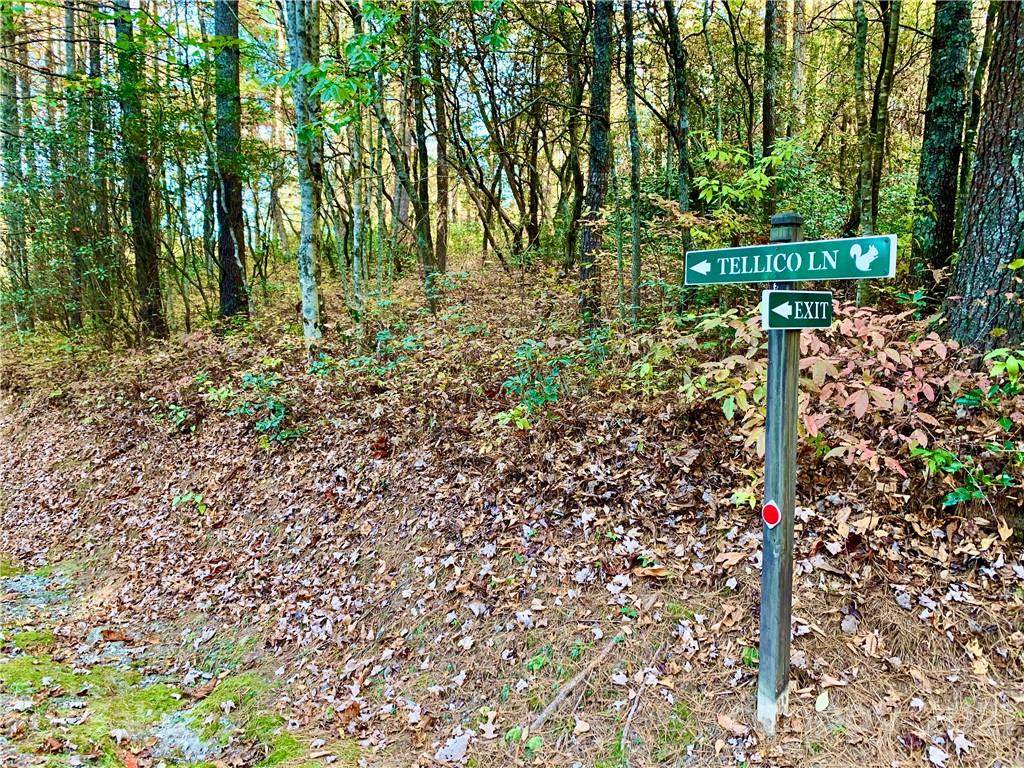 TBD Tellico Lane - Photo 1