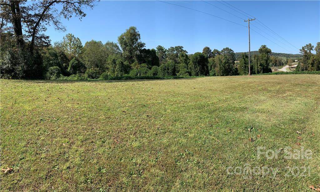lot 2D All Healing Springs Road - Photo 1